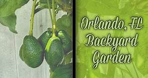 Florida Gardening within an HOA? NO Problem!
