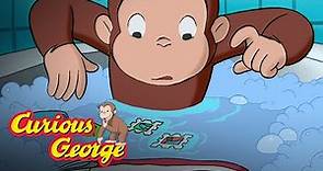Curious George 🐵 George Floods the Building 🐵 Kids Cartoon 🐵 Kids Movies 🐵 Videos for Kids