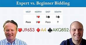 How beginner, intermediate, and expert players might bid this bridge hand differently