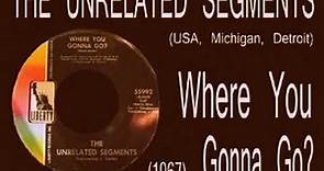The Unrelated Segments - Where You Gonna Go? (1967)