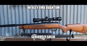 .177 Webley VMX Quantum review-Big Dan's Airguns.