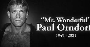 History of Paul Orndorff in time line - WWE Hall of Famer 'Mr. Wonderful' - R.I.P