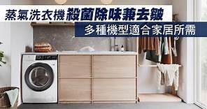 蒸氣洗衣機殺菌除味兼去皺　多種機型適合家居所需 - 香港經濟日報 - TOPick - 特約