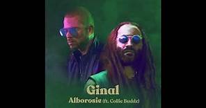 Alborosie ft. Collie Buddz - Ginal | Official Audio