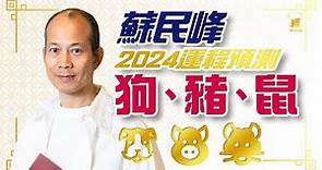 蘇民峰2024年狗豬鼠生肖運程 附犯太歲化解方法 ｜屬狗人緣運佳、屬豬紅鸞星動、 屬鼠易升職 ｜十二生肖｜龍年運程｜2024年運程｜附字幕｜九運｜事業運｜財運｜犯太歲｜香港樓市｜絪緣運