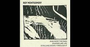 Roy Montgomery - And Now The Rain