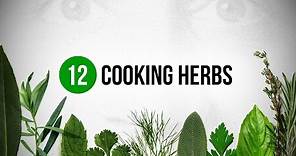 12 Cooking Herbs every Cook should know about !
