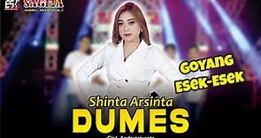 Shinta Arsinta - Dumes | Dangdut (Official Music Video)