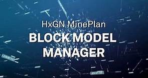 Hexagon MinePlan Block Model Manager