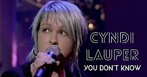 Cyndi Lauper - You Don't Know (Live Performance)