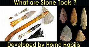 What are Stone Tools | Stone Tools | Homo Habilis | Choppers | Purushotam Academy