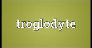 Troglodyte Meaning