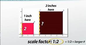 Scale Factor | Definition, Calculation & Examples