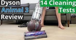 Dyson Ball Animal 3 Review - 14 Objective Cleaning Tests