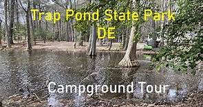 Trap Pond State Park DE Campground Tour
