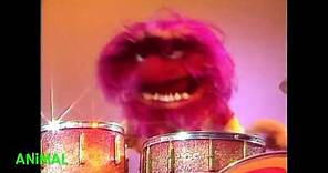 Muppet Songs: Animal - Drum Solo