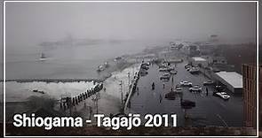 Tagajo - Shiogama Tsunami Japan 2011