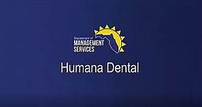 Humana Dental English 2024