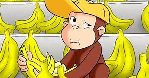 Jorge el Curioso en Español 🐵Jorge el Tendero 🐵 Mono Jorge | Caricaturas para Niños