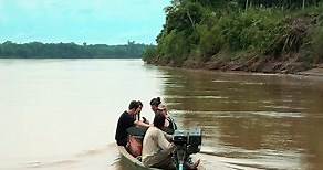Welcome to Amazonas peruano🌴🐒 Gracias a Amazon Planet Peru hemos conocido la fauna y flora de la Reserva Nacional de Tambopata y toda la vida que surge entre las copas de los árboles💚😍. #amazonasperu #selvaamazonica #amazonas #faunasalvaje #faunesauvage