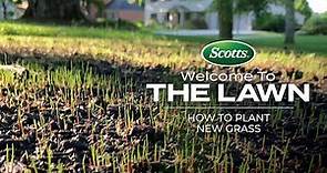 Welcome To The Lawn: How to Plant New Grass