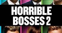 Horrible Bosses 2 streaming: where to watch online?