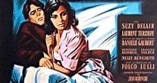 The Regattas of San Francisco (1960) Online - Película Completa en Español - FULLTV
