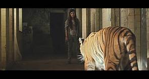 Tigers Are Not Afraid (2017)
