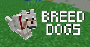 How to Breed Dogs in Minecraft (All Versions)