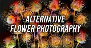 Alternative Flower Photography with Harold Davis