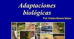 Tipos de adaptaciones biológicas. Capítulo I