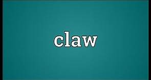 Claw Meaning