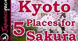 Top 5 Places to See Sakura (Cherry Blossoms) in Kyoto!