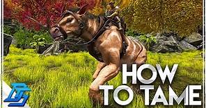 How To Tame A Chalicotherium - Ark: Survival Evolved