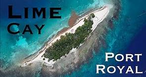 Aerial footage of Lime Cay, true paradise near Port Royal, Jamaica