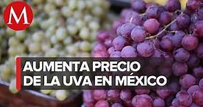 Sader garantiza abasto de uva en México para Año Nuevo 2022