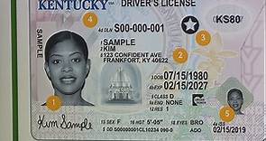 Kentucky unveils new driver license options