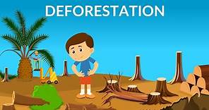 Deforestation | Causes, Effects & Solutions | Video for Kids