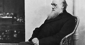 What is evolution? Charles Darwin's brilliant idea explained