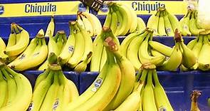 你所不知道的香蕉：餵飽了5億人口，也讓中南美死傷無數 - The News Lens 關鍵評論網