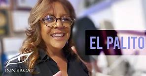 Albita - El Palito (Video Oficial)