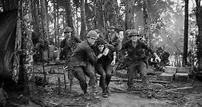 The Battle of Hamburger Hill 1969 (Vietnam War)