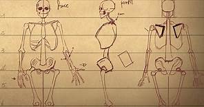 Tutoriel : comment dessiner un squelette ?