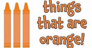 Things that are Orange | Learning Colors for Kids