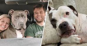 120-pound dog has the best response to family bringing home a shelter dog