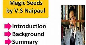 Magic Seeds by V.S Naipaul summary
