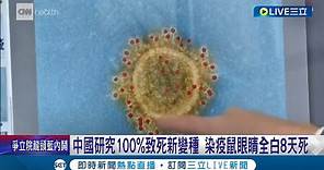 還沒學到疫情教訓! 中國研究變種新病毒 新變種"致死率100%"染疫鼠眼睛全白8天身亡 學界痛批官方行徑魯莽玩火│記者 楊駿宗│【國際大現場】20240120│三立新聞台