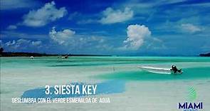 Top 5 de las mejores playas de Miami
