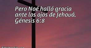 Explicación Génesis 6:8. 'Pero Noé halló gracia ante los ojos de Jehová.' - BibliaBendita