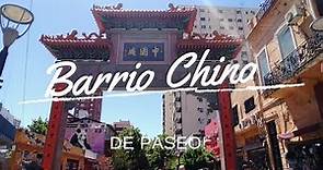 BARRIO CHINO del Barrio Belgrano, una escapada cultural y fascinante en BUENOS AIRES👘🇦🇷🇦🇷!!De Paseo!